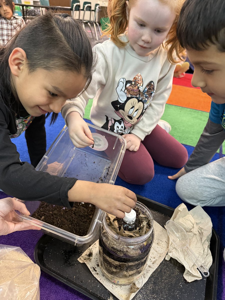 Kindergarten Science in Spring = tiny hands, big curiosity, and a whole lot of wiggly worms! Nothing says 'hands-on learning' like 5-year-olds whispering to worms and naming them Gary.