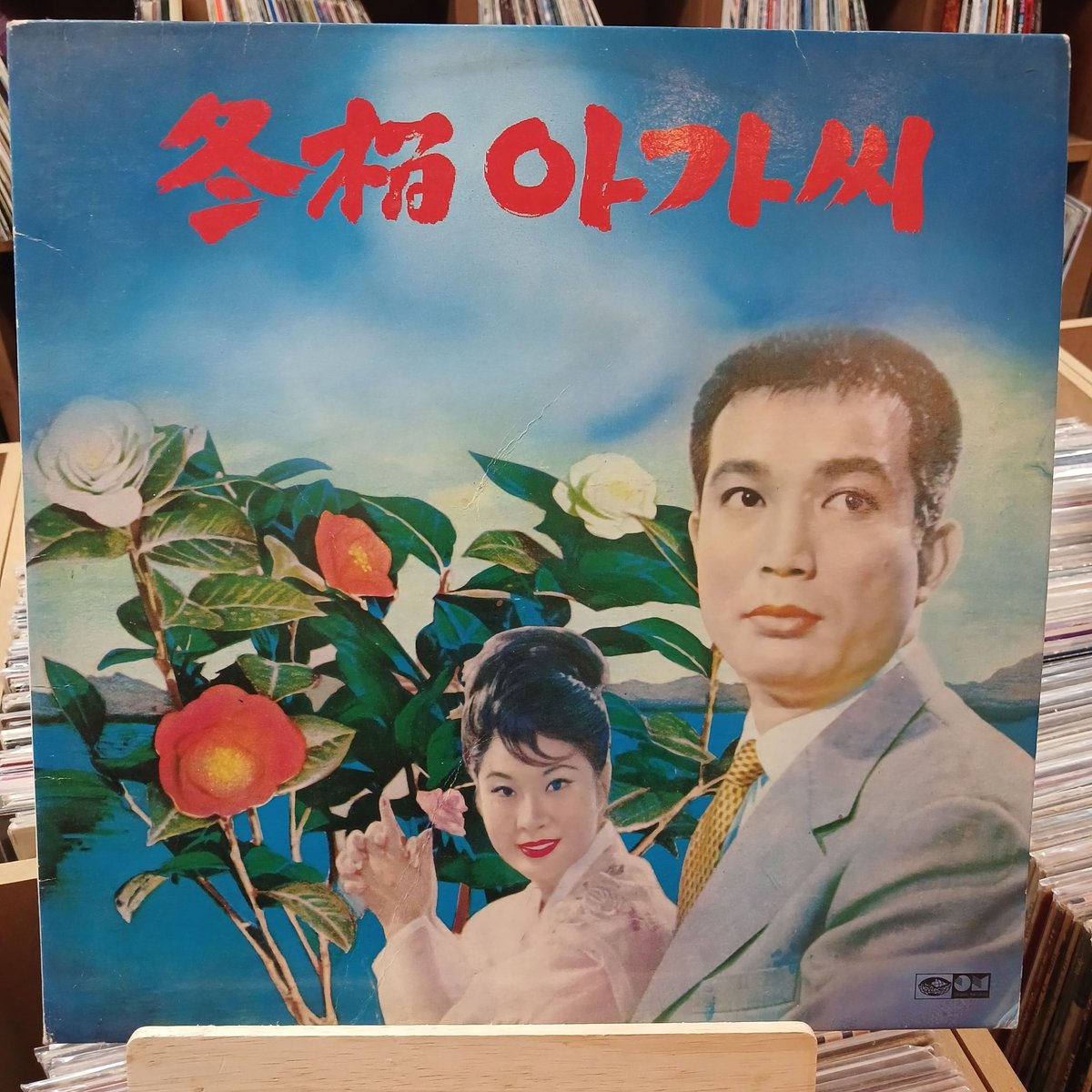 ♥거꾸로가는음악시간♥                                        ☎ 010~3330~3765/smartstore.naver.com/lppan
방문 구매 고객 수입 LP 1장 랜덤 무료 증정