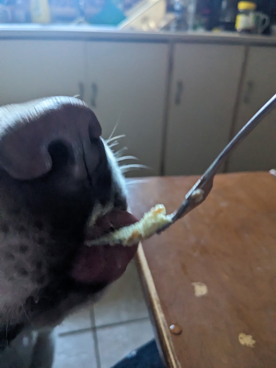 Mom and Dad couldn’t resist and wait until Sunday! So here we are. I got my first taste of @mcainfoods deep and delicious cake. It was delicious-but I just got one bite.