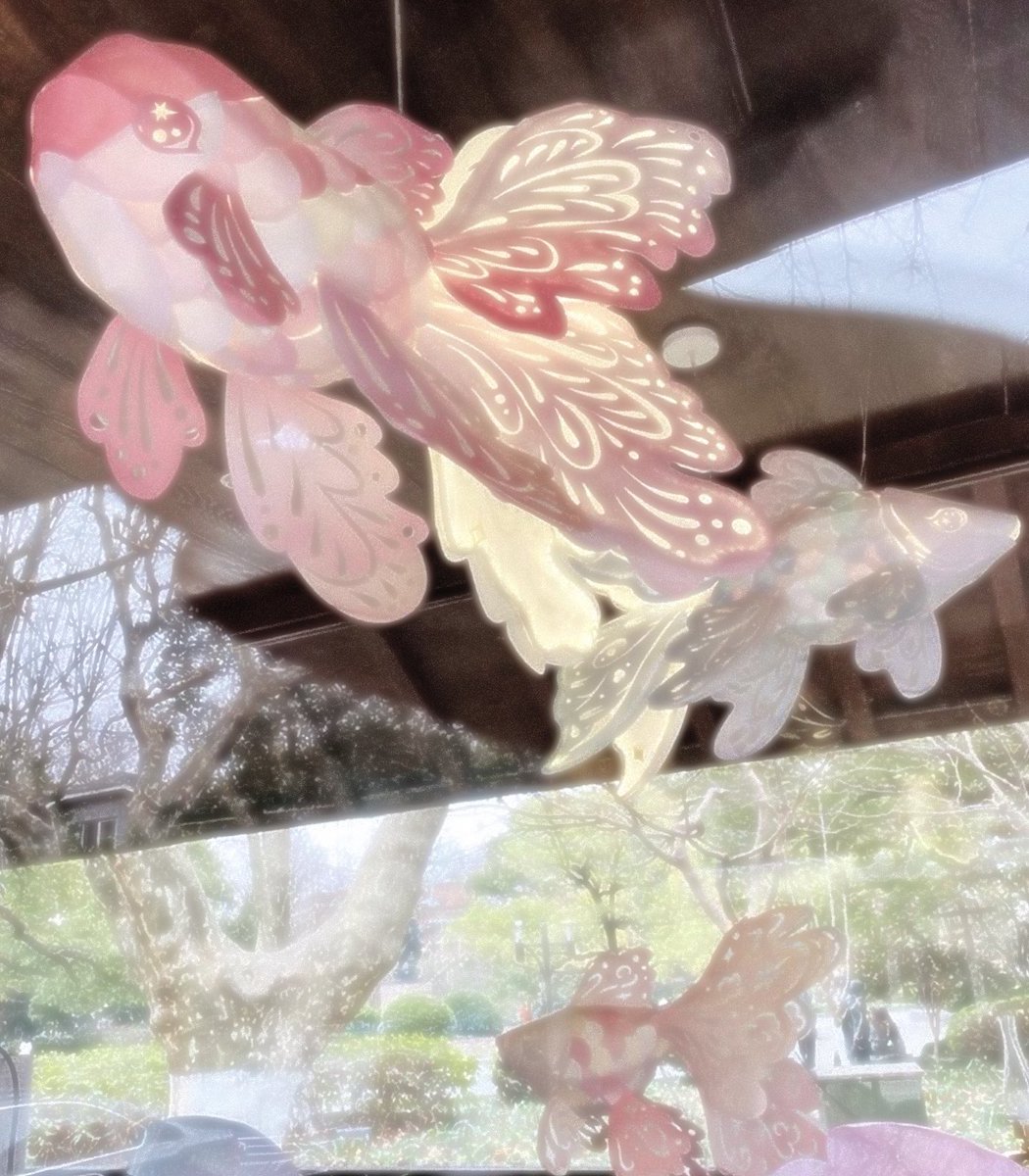 carmeminta's tweet photo. 𓎢𓎟𓎡　˚　🪧  나의 𝐅𝐎𝐑𝐄𝐕𝐄𝐑: 하츠투하츠  ..  ᧔o᧓ https://t.co/8gcEHljCC4