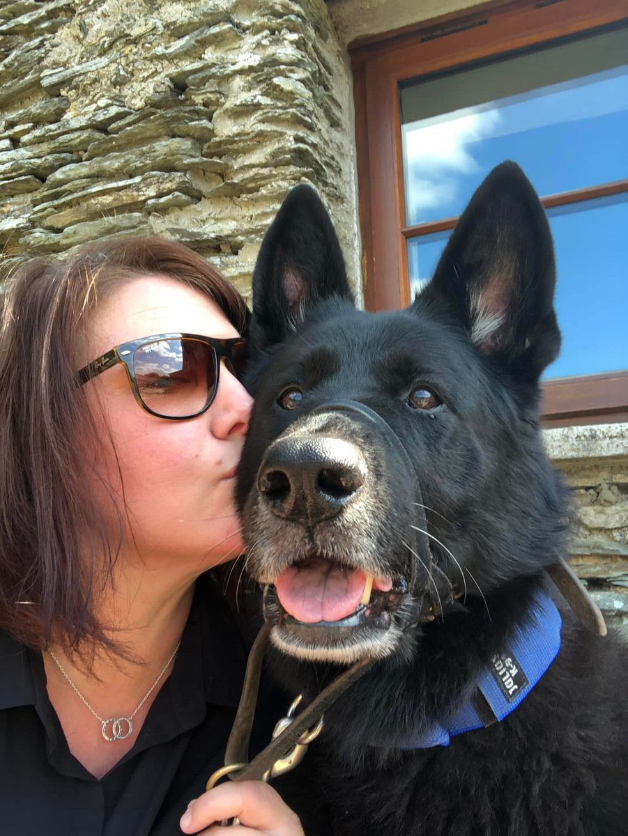 RPD_Logan tweet media