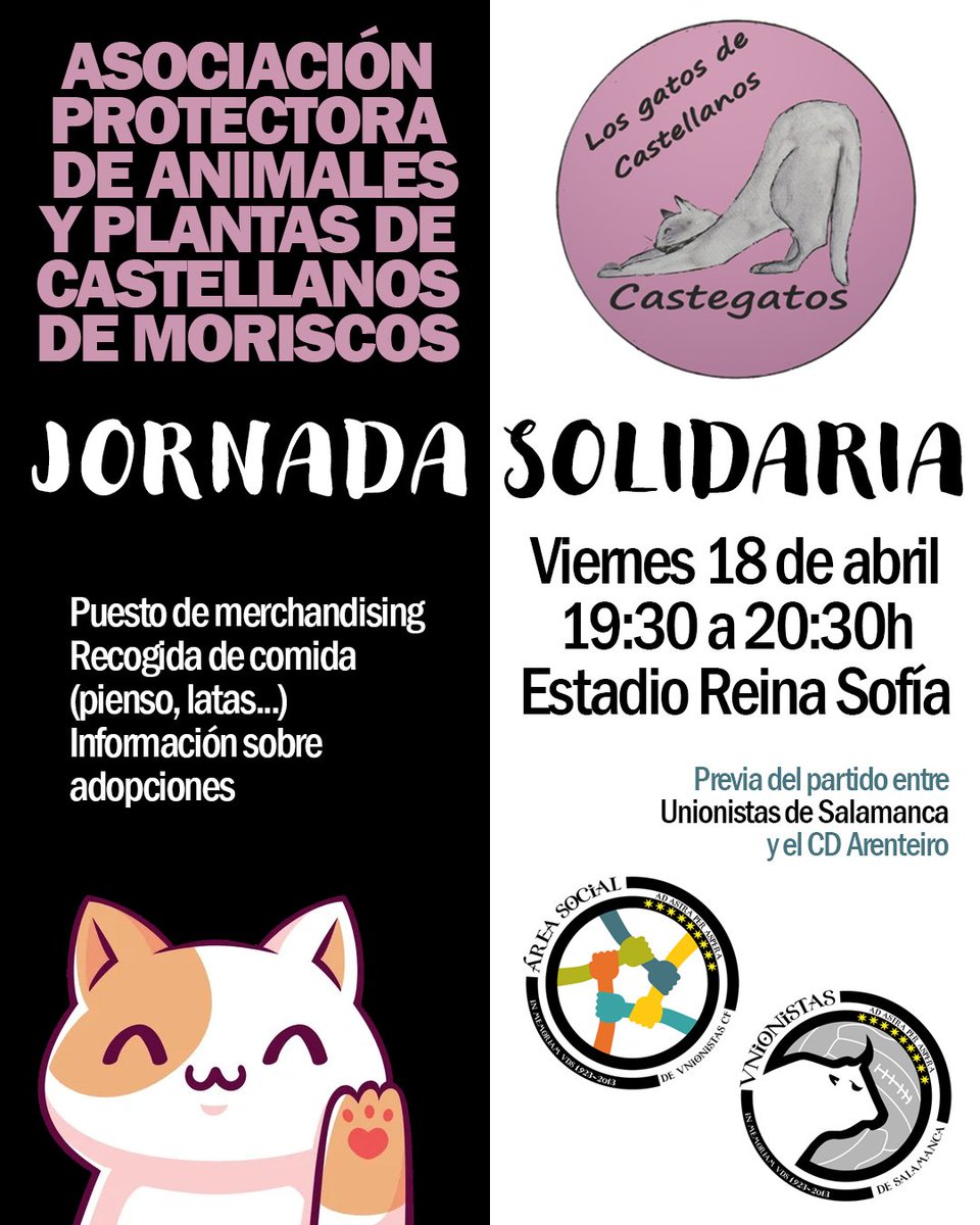 🤝🏻 SOCIAL | Recuerda que la protectora de animales "Castegatos" colocará un puesto solidario de merchandising y recogerá comida (pienso, latas...) en la previa del encuentro de mañana.

⌚ De 19:30 a 20:30h.

#MuchoMásQueFútbol