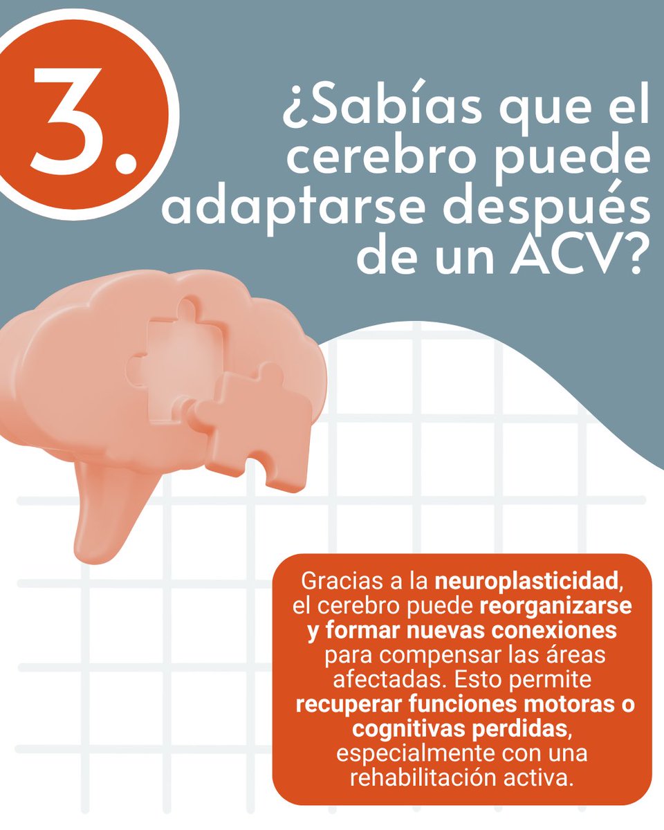 El 80% de los ACV se pueden prevenir. Conocer los signos y factores de riesgo es clave. ¡Cuida tu salud cerebral! 🧠#cerebrovascular #prevenciónacv #acv #salud #saludcerebral #neurociencia
#investigacion #ñuble #chile