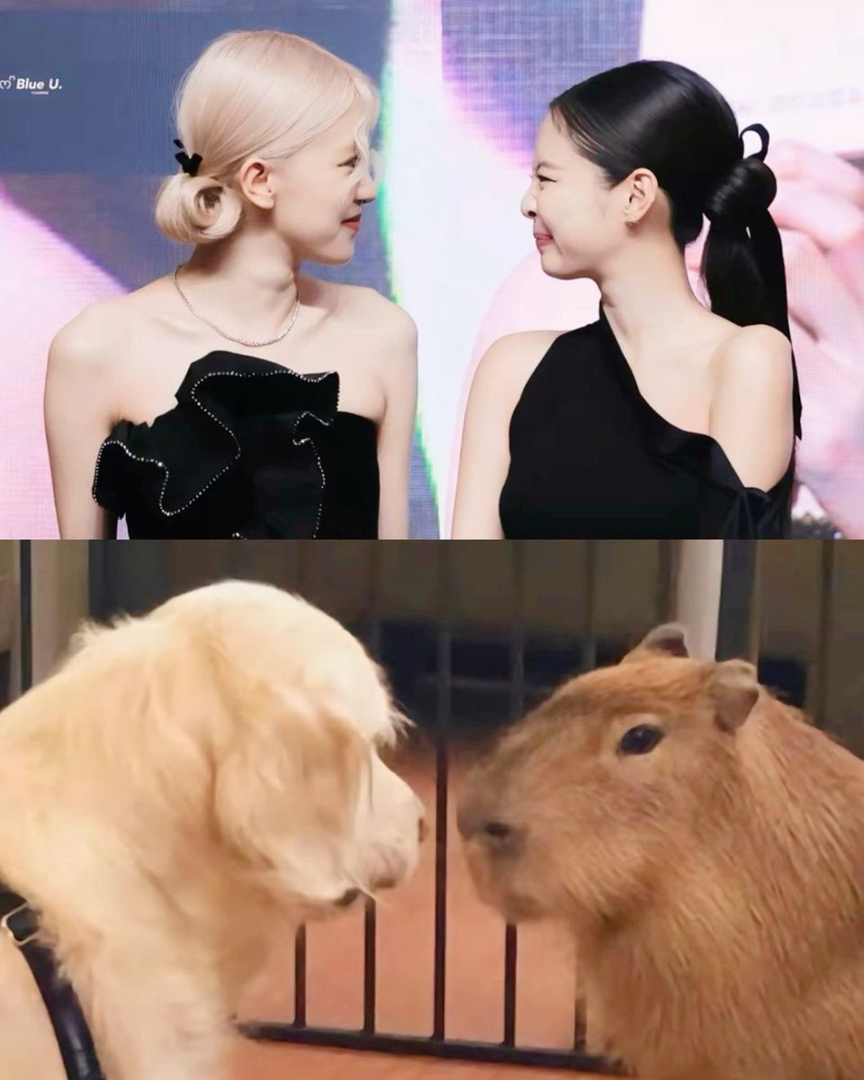 bella (@rubysrosies) on Twitter photo 