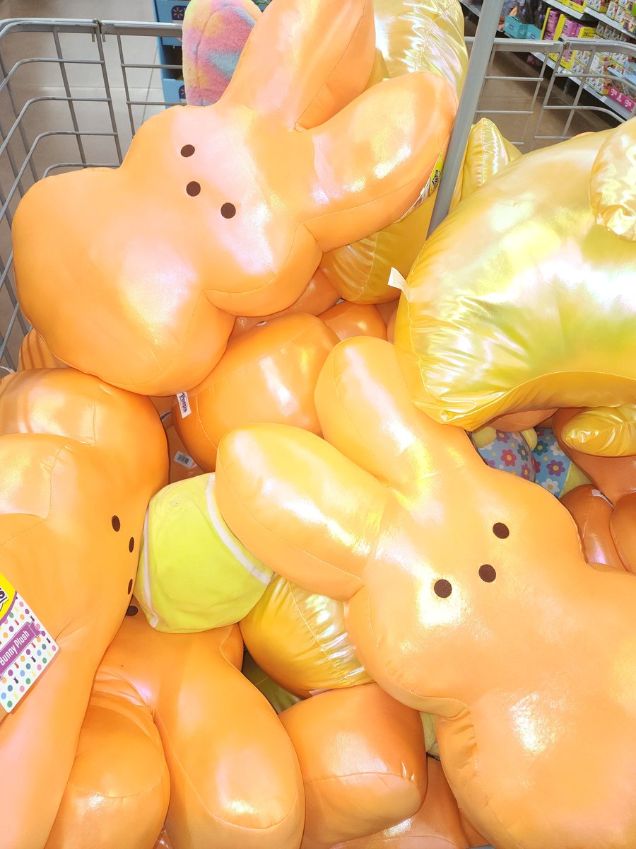 fullbloomdotfun's tweet image. #photography