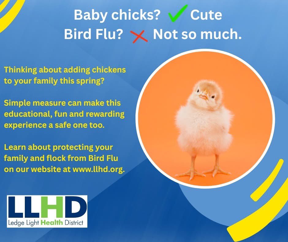 Thinking about getting your eggs really, really locally (your backyard)? Easter Bunny bringing some fuzzy friends? Ran in the supply store for dog food and couldn't resist the sweet little chirps? We get it! :) And we want you to be safe! Check out our website for important tips.