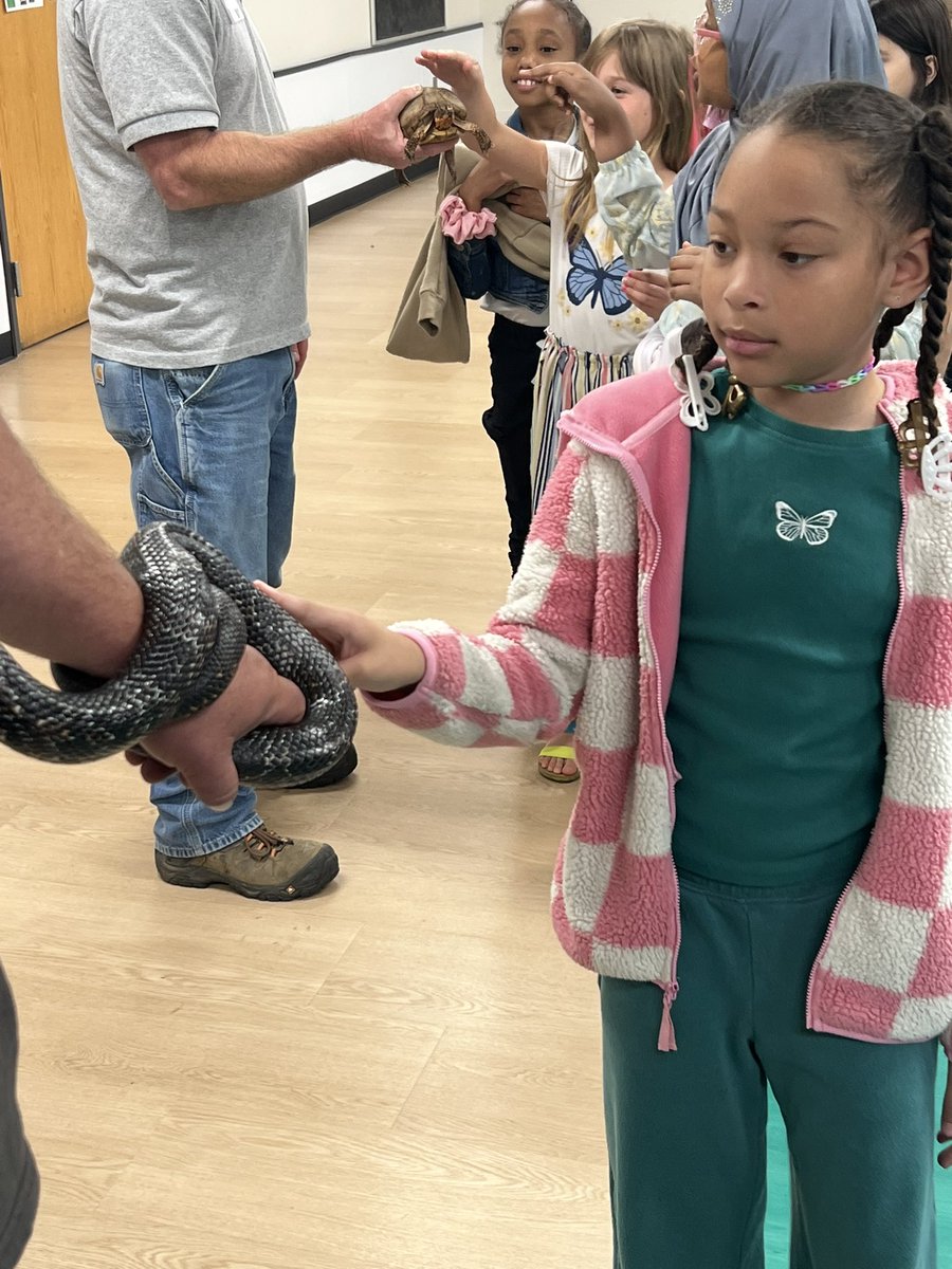 Kelcie Sutton tweet media