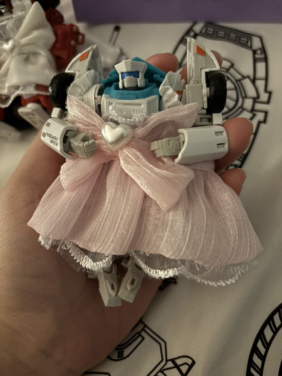 cat (≡^∇^≡) tweet media