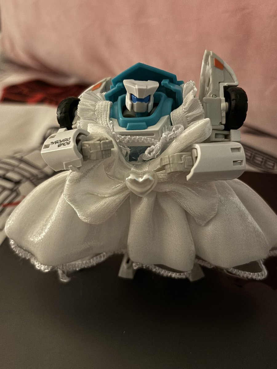 cat (≡^∇^≡) tweet media