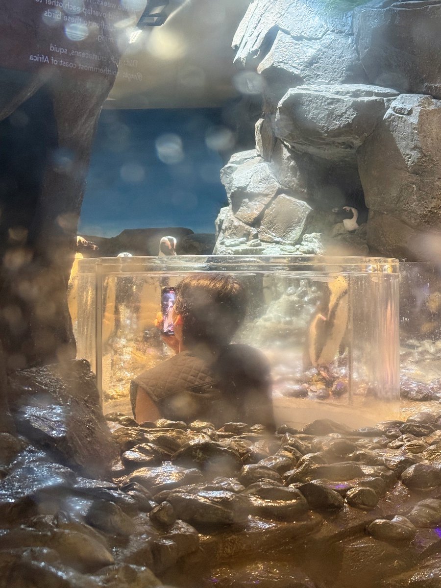 [#GON]

Aquaman Lets gooooo!!!💙🐟🐠

#VANNER #배너 #곤