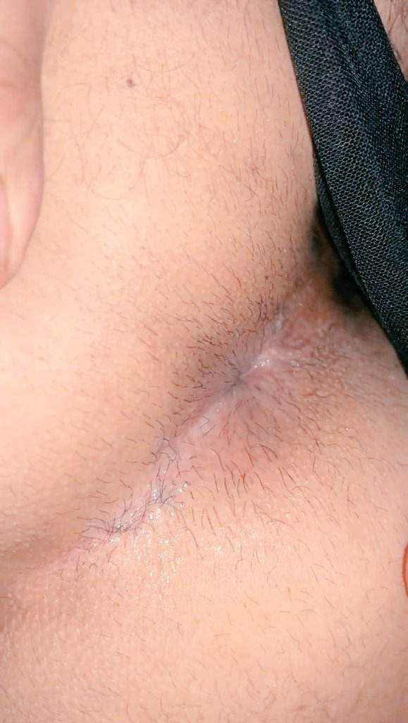 نبو فحل جاد من سبها