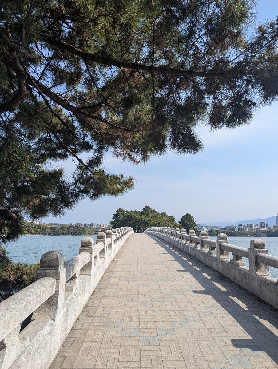 Alex 🌙 tweet media