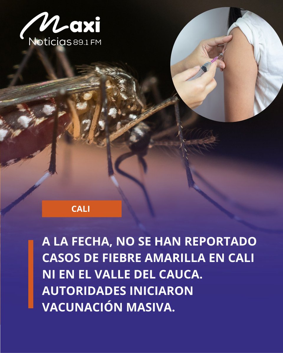 Según información de <a href="/SaludCali/">Secretaría de Salud Pública de Cali</a>, en la ciudad no se han reportado casos de fiebre amarilla. Se han aplicado más de 4.500 vacunas en 2025 y hay 28 IPS y un punto habilitado en <a href="/MiTerminalCali/">Mi Terminal Cali</a> para vacunarse gratis. Conozca los puntos: facebook.com/share/p/1BtLNp…