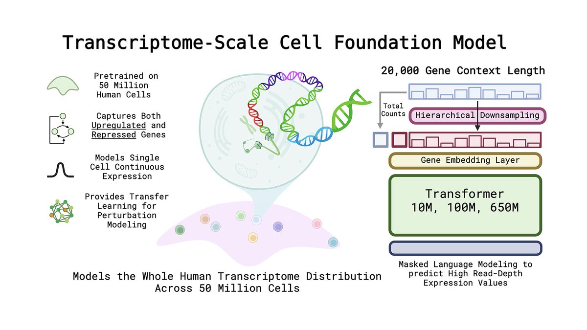 GenBio AI (@genbioai) on Twitter photo 1/ The Chan Zuckerberg Initiative <a href="/cziscience/">CZI Science</a> is now hosting our AIDO.Cell-100M in its virtual cells platform. 🧬🦠 1/ The Chan Zuckerberg Initiative <a href="/cziscience/">CZI Science</a> is now hosting our AIDO.Cell-100M in its virtual cells platform. 🧬🦠