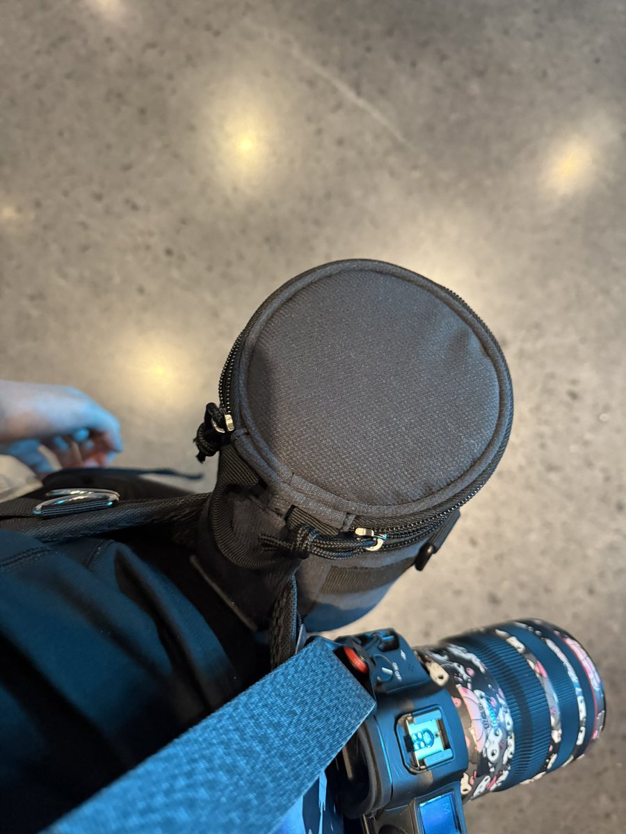 Alice Luo tweet media