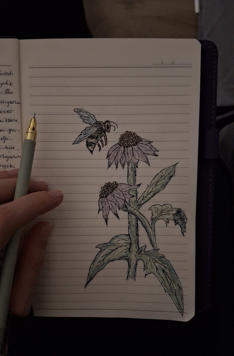 asdfghjfdf's tweet image. The basic art of tonight. Some days are very difficult, getting used to new things and trying to overcome them is not always easy, but trying, that's what makes it all worth it.
#art #basicart #pencilart #natureart