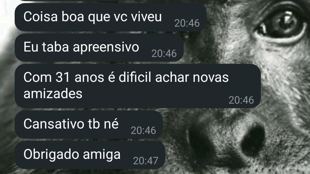 GabCapriolli's tweet photo. quarta-feira e recebo essa declaração. como não amar um amigo preocupado com a minha saúde? https://t.co/DKFMNzATEq