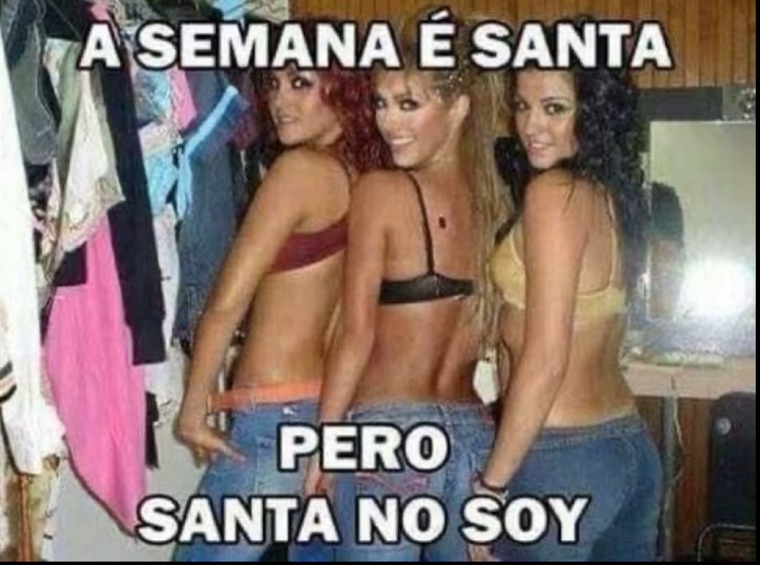 perfil dedicado a gatinhos e peitos (@odeiootaco) on Twitter photo 