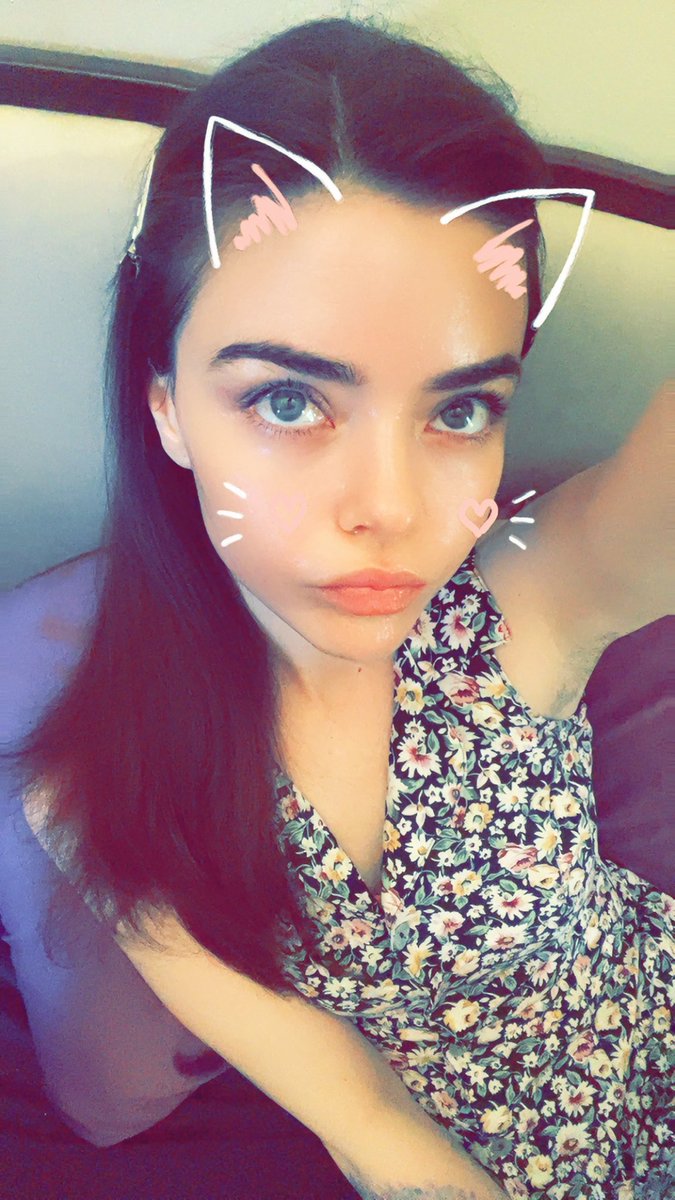 🌸😽💓😽🌸