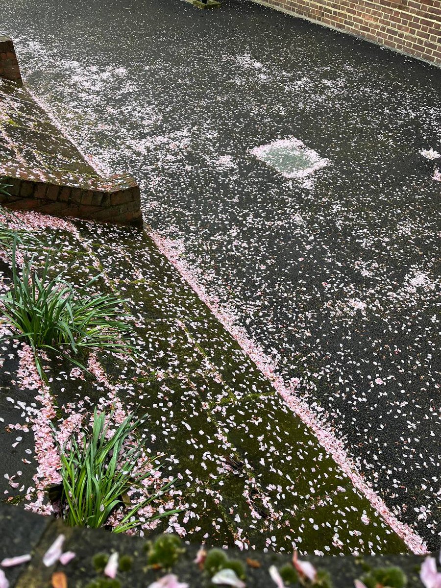 Drenched in charm and a little bit of drizzle