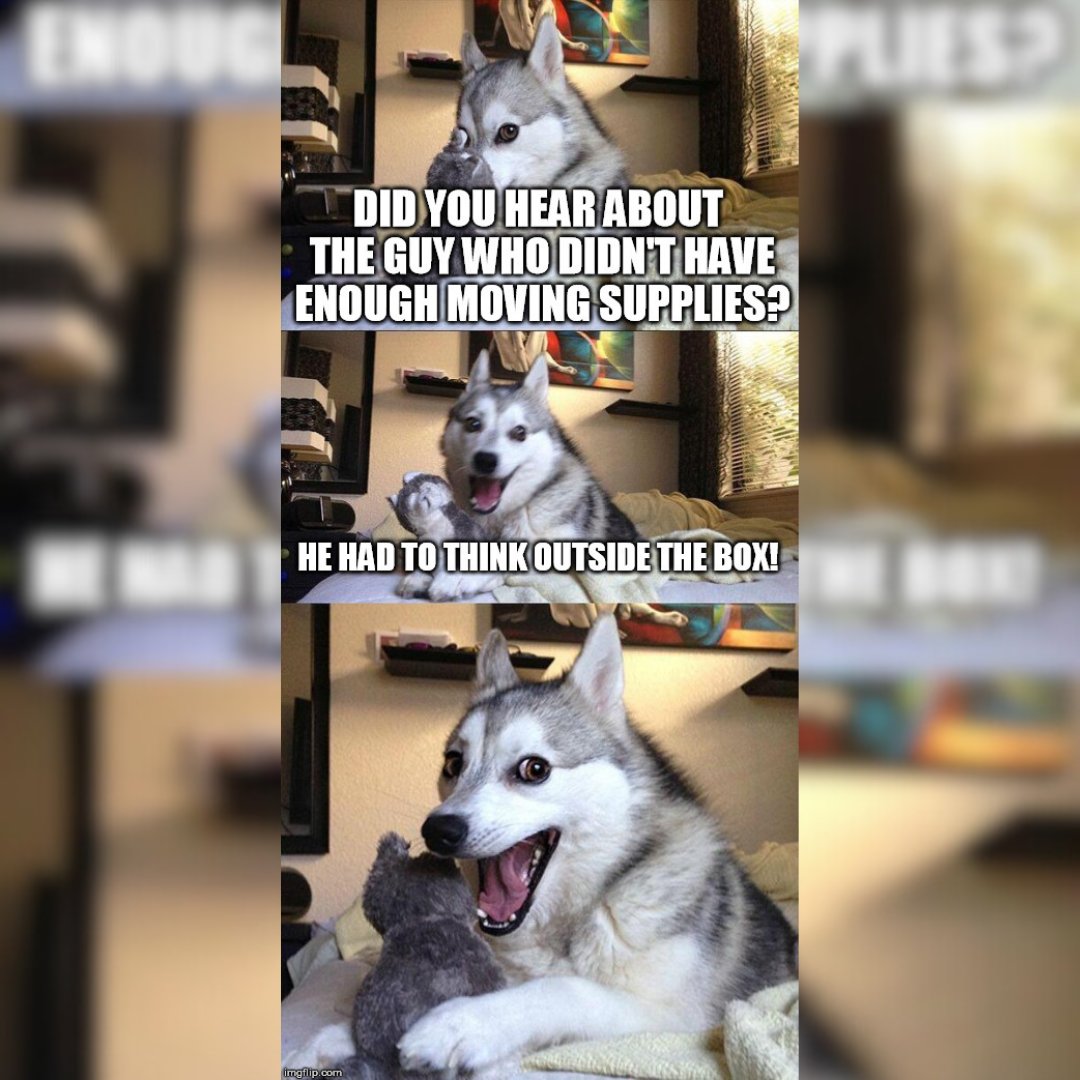 RuffnReadymovin's tweet image. When you realize your moving supplies are running low… but your pun game is high 📦🐶

Thinking outside the box? Classic mover instinct. 😎

(But seriously—don’t wing it. We bring plenty of supplies so you don’t have to get this creative.)

#MovingDay #PackingFails #DogMemes
