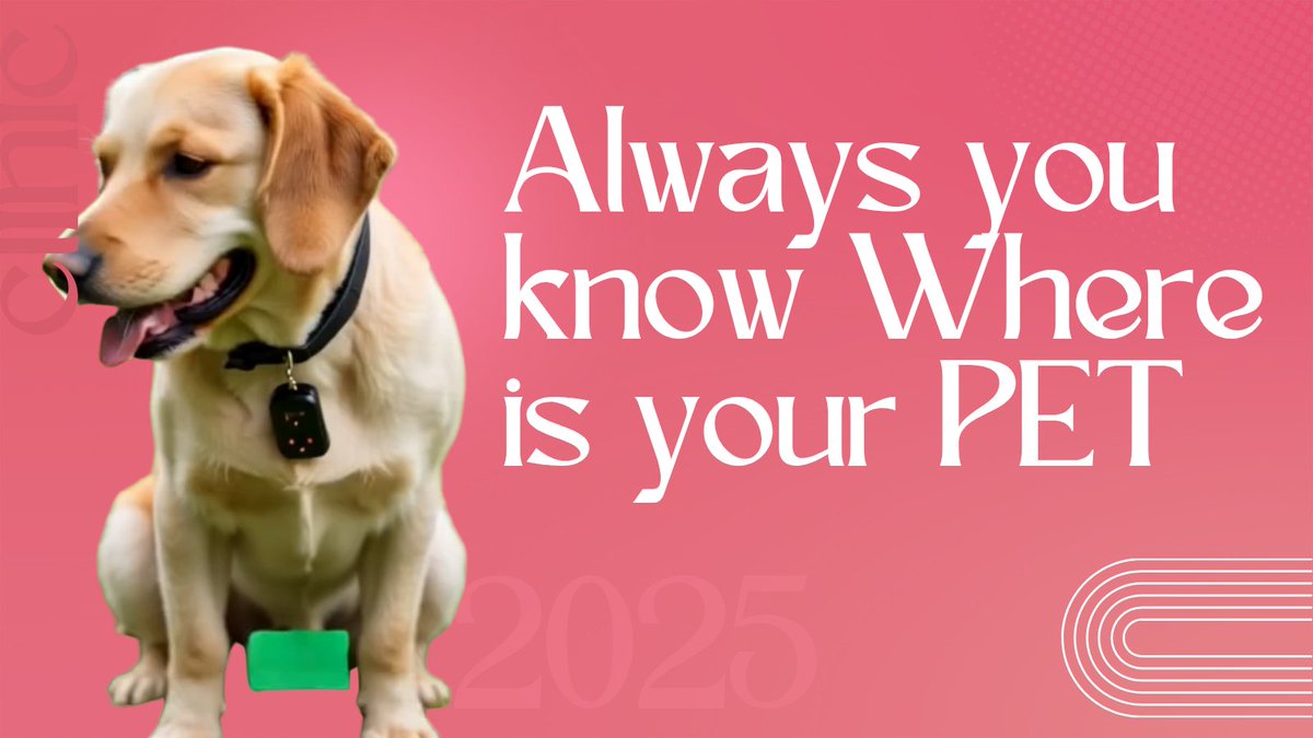 pethaven2000's tweet photo. No more chasing your pup!
Set safe zones with GPS Dog Fence — no wires, no worries.

Buy now: [https://t.co/TtgwEHYEfj]

#DogSafety #GPSDogFence #PetCare #SmartPetSolution #PetHavenSociety https://t.co/WRuUPHnUkE