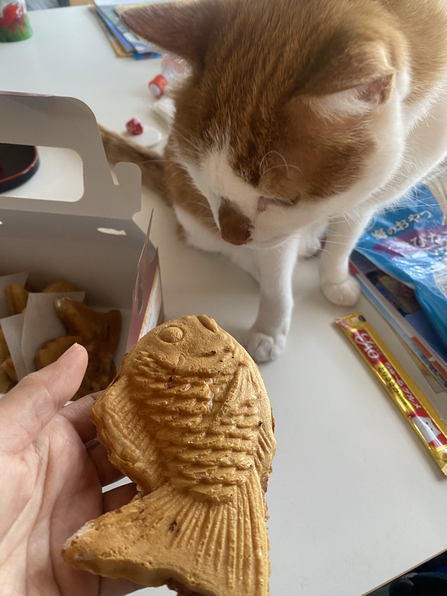 海外にも「たい焼き」ってあるのかな？がんぼるぞい。

translation:
Are taiyaki available outside of Japan?