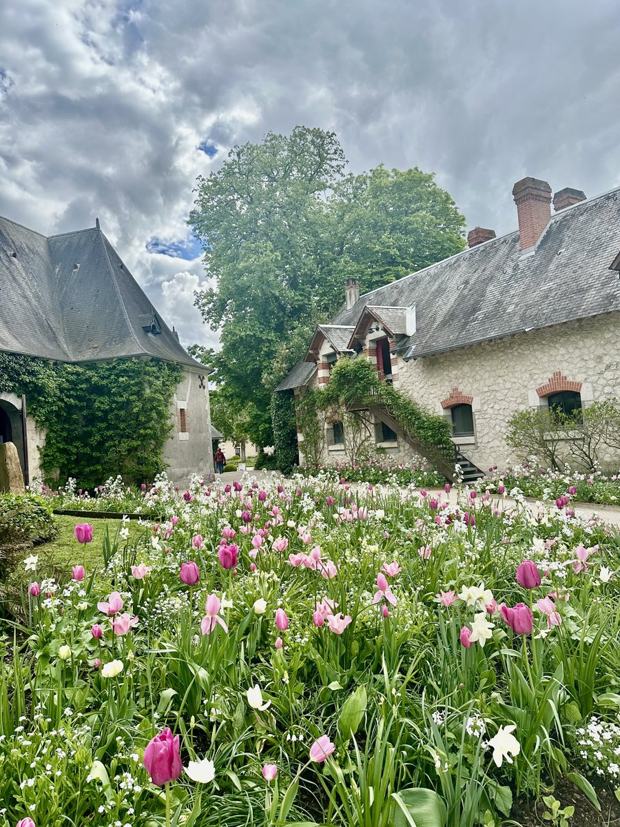 Chaumont_Loire's tweet photo. Le temps des tulipes à Chaumont sur Loire https://t.co/MvSydWUWVC
