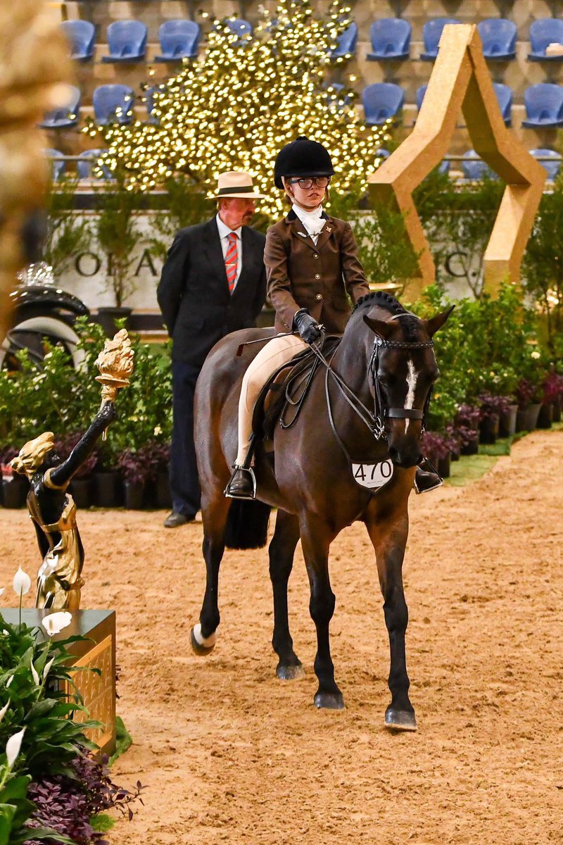 NZBAirfreight's tweet photo. Our recent #FirstClassFlyers & precious cargo Bellagio KV and Millie White competed over at Grand Nationals in Australia 😍 🐴
Well done to you both, a massive achievement! It was great to be involved in your journey together ❤
#GoingTheExtraMile🌍✈ https://t.co/QXUcE30Vj8