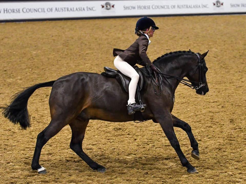 NZBAirfreight's tweet photo. Our recent #FirstClassFlyers & precious cargo Bellagio KV and Millie White competed over at Grand Nationals in Australia 😍 🐴
Well done to you both, a massive achievement! It was great to be involved in your journey together ❤
#GoingTheExtraMile🌍✈ https://t.co/QXUcE30Vj8