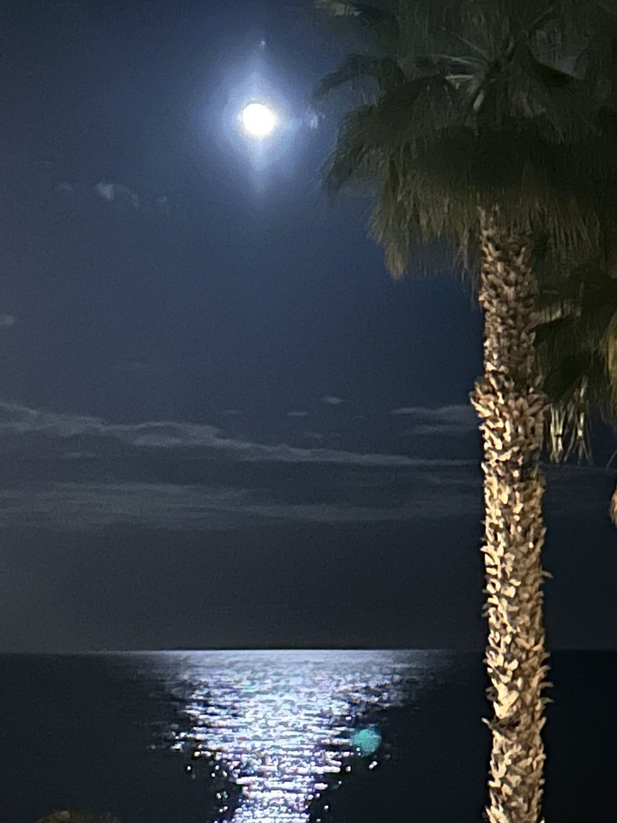 Flor De Ylang (@flordeyl) on Twitter photo 