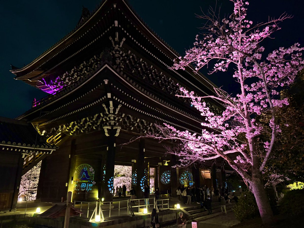 TheJapanWalk's tweet photo. Chion-in Temple glowing under the spring illuminations — a magical sight that reminds us spring isn’t over just yet.
https://t.co/EqaSXy5hKM

Stay tuned on our YouTube channel for the full tour coming soon!

#Chionin #KyotoSpring #SpringIllumination #TempleLights #CherryBlossoms #JapanTravel
#知恩院 #京都旅行 #春のライトアップ #桜スポット #日本の春