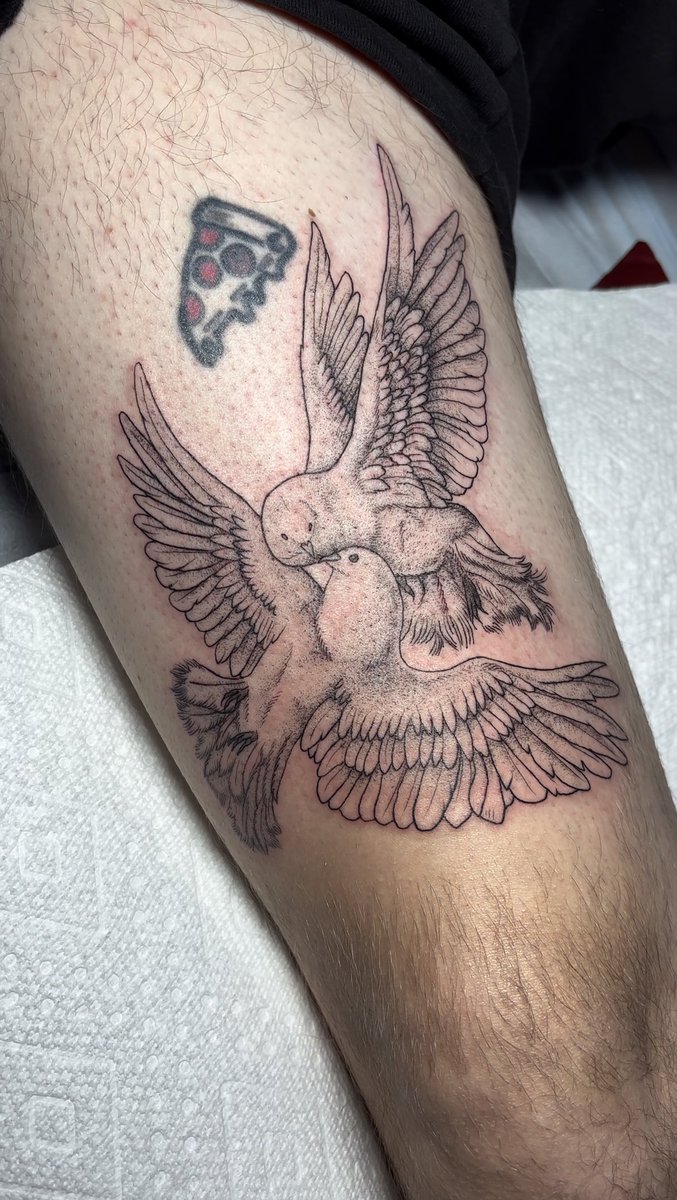 an early birthday present for <a href="/seanmccallxx/">sean mccall</a> go birds