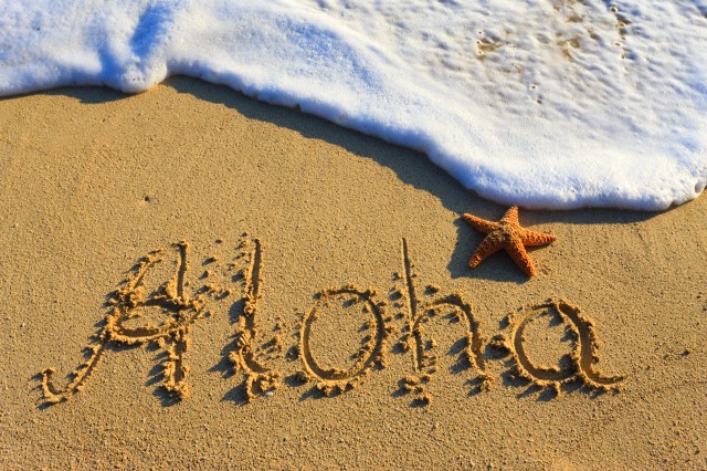 Try your luck and win a trip for two to Honolulu! 🌺Don’t miss out—enter NICWA’s 2025 travel sweepstakes today! Get 25% more entries when you use the promo code NICWA25 at checkout or visit the link to enter.

➡️bit.ly/NICWA25