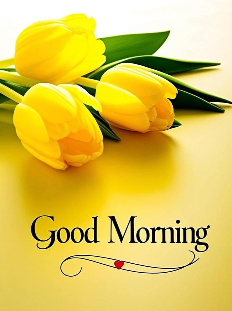 BShajudeen's tweet photo. https://t.co/ZhtoFA0hPs
