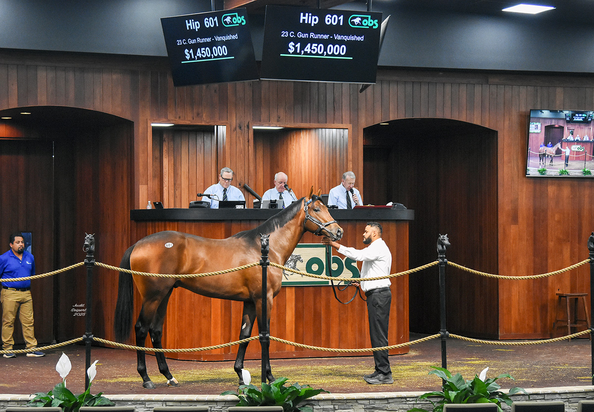 florida_horse's tweet photo. Inside This Issue of Wire to Wire
$1.45 Million Gun Runner Colt Leads Vanguard of Million Dollar Juveniles Wednesday at #OBSSpring Sale #OBSApril @OBSSales @Ker_Radcliffe
Click to read all stories: https://t.co/teQFVON2Mv

@VideoHipico @TheBrockTalk @TammyAnnGantt @HipismoyPunto #Wire2Wire
Photo: ©Judit Seipert