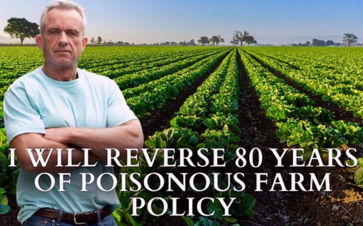 SaveAmericaNew's tweet image. Do you support Robert F. Kennedy Jr. getting rid of all Ultra Processed food in America ?

A. YES
B. NO