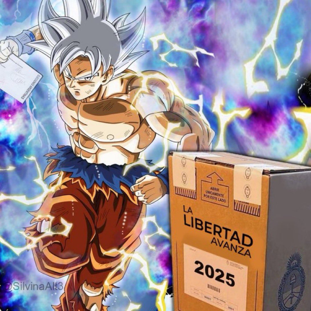 gokuuliberal's tweet image. Traeme la urna ✅️🇦🇷