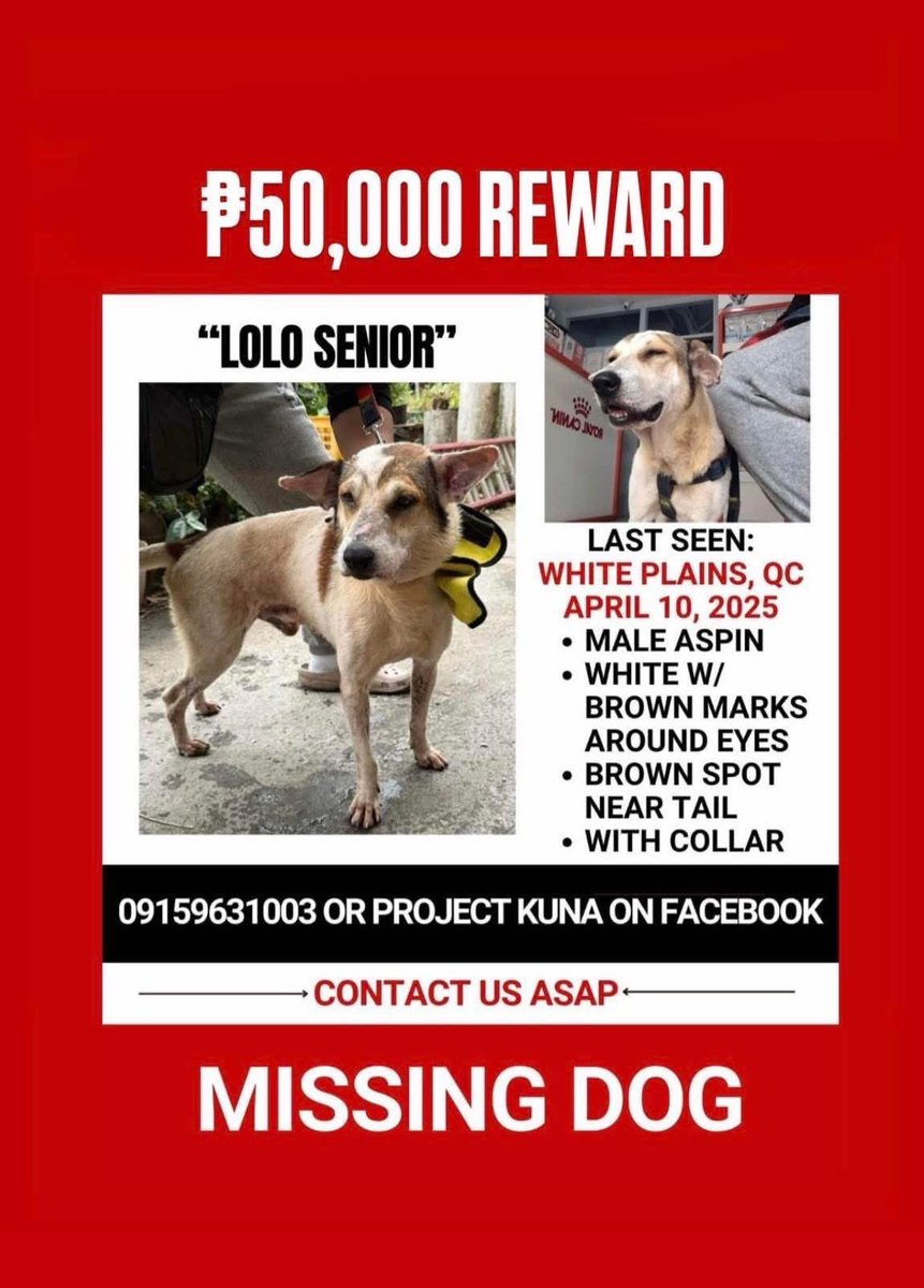 May I request that you share this post to help find Lolo Senior?

Thank you!

Kindly check the link below for more info

facebook.com/share/p/16Mbs2…