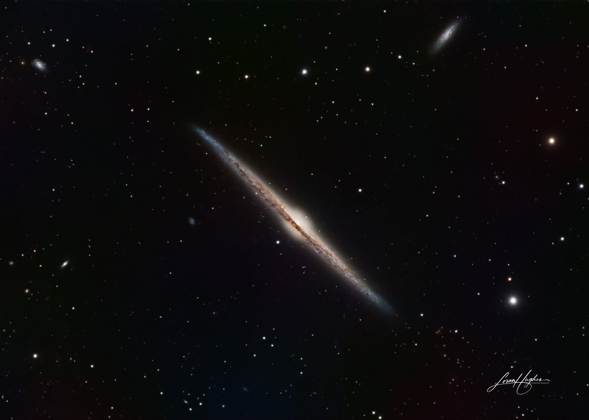 The Needle galaxy (NGC 4565), a beautiful edge-on spiral galaxy in Coma Berenices. Imaged with my 11-inch Celestron SCT last night from the driveway. Image details are on my Astrobin page at app.astrobin.com/i/ubhujj. #astrophotography #astronomy