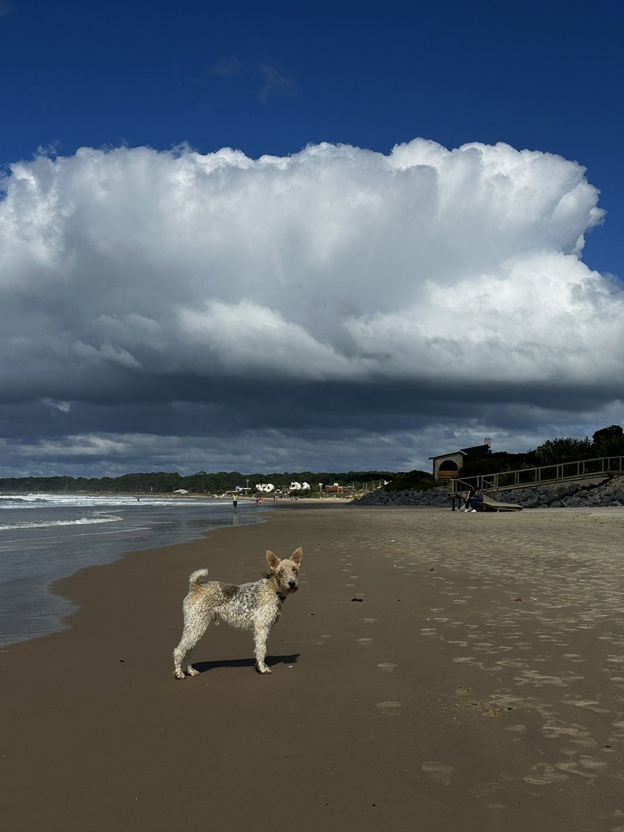 Disfrutando de un miércoles de turismo, con hermoso cielo y alguna nube. El sol estaba muy amigable y el agua del mar propicia para un chapuzón. 
Así se disfruta Costa Azul, La Paloma Rocha <a href="/Uruguay_Natural/">Uruguay Natural</a> <a href="/MAmbienteuy/">Ministerio de Ambiente</a> <a href="/TurismoRocha/">Turismo Rocha</a>
