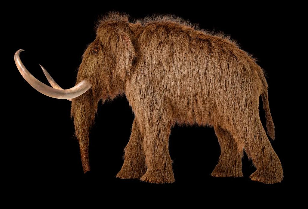 MarioNawfal's tweet image. BILLIONAIRE BACKS MAMMOTH COMEBACK—COLOSSAL BET ON DE-EXTINCTION TECH

Ben Lamm’s startup Colossal just raised $200M at a $10.2B valuation to bring back the woolly mammoth—yes, seriously. 

Alongside Harvard geneticist George Church, Lamm aims to resurrect extinct species like…