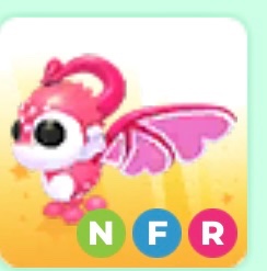 Sadcatluck🐱🍀 tweet media