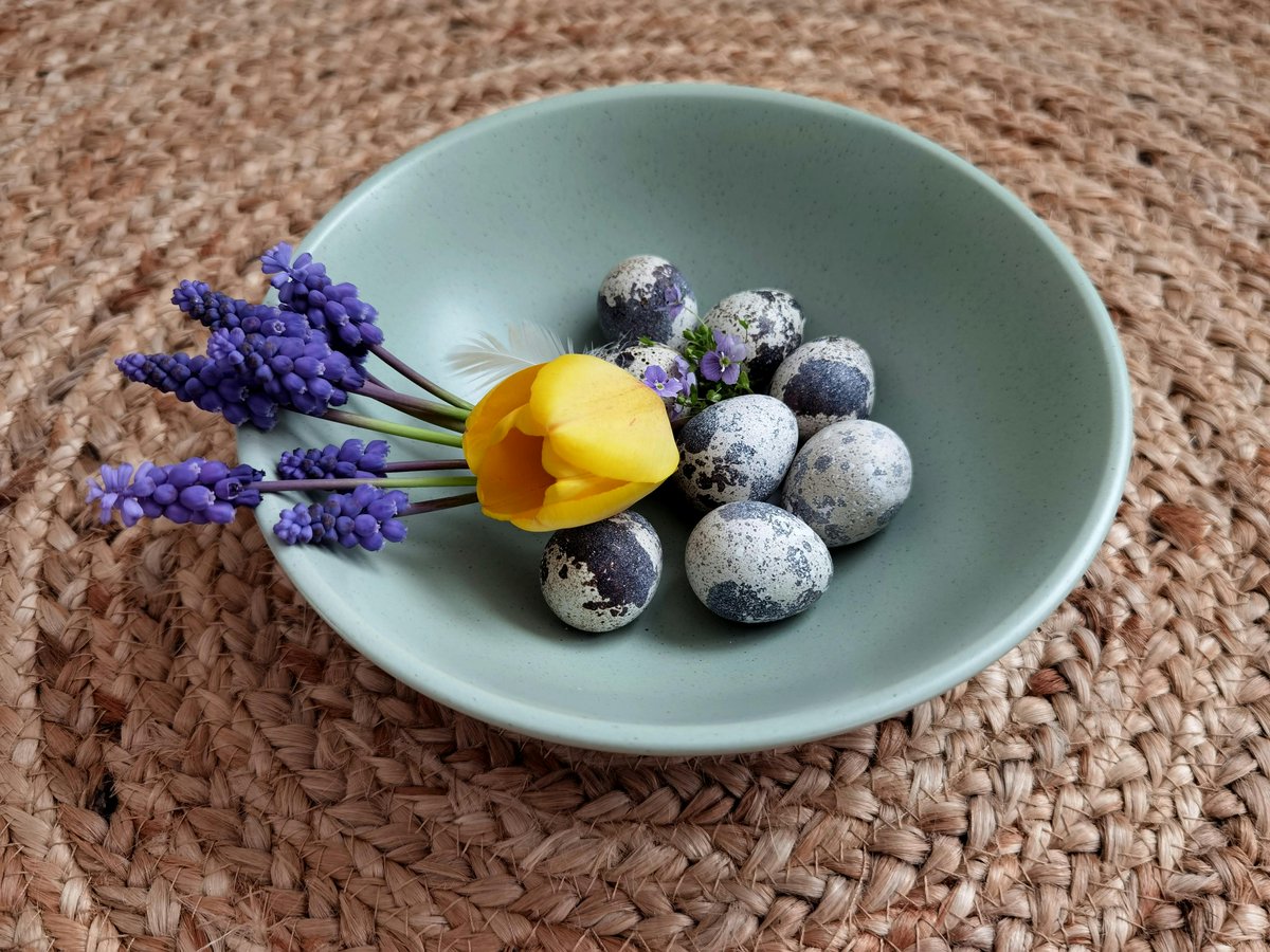 HenrydanKitchen's tweet image. Brighten your Easter table! 🌸 Serve in style with our elegant dinnerware sets.
#EasterCelebration #SpringDining #KitchenGear #FestiveMeals   henrydankitchensupplies.com