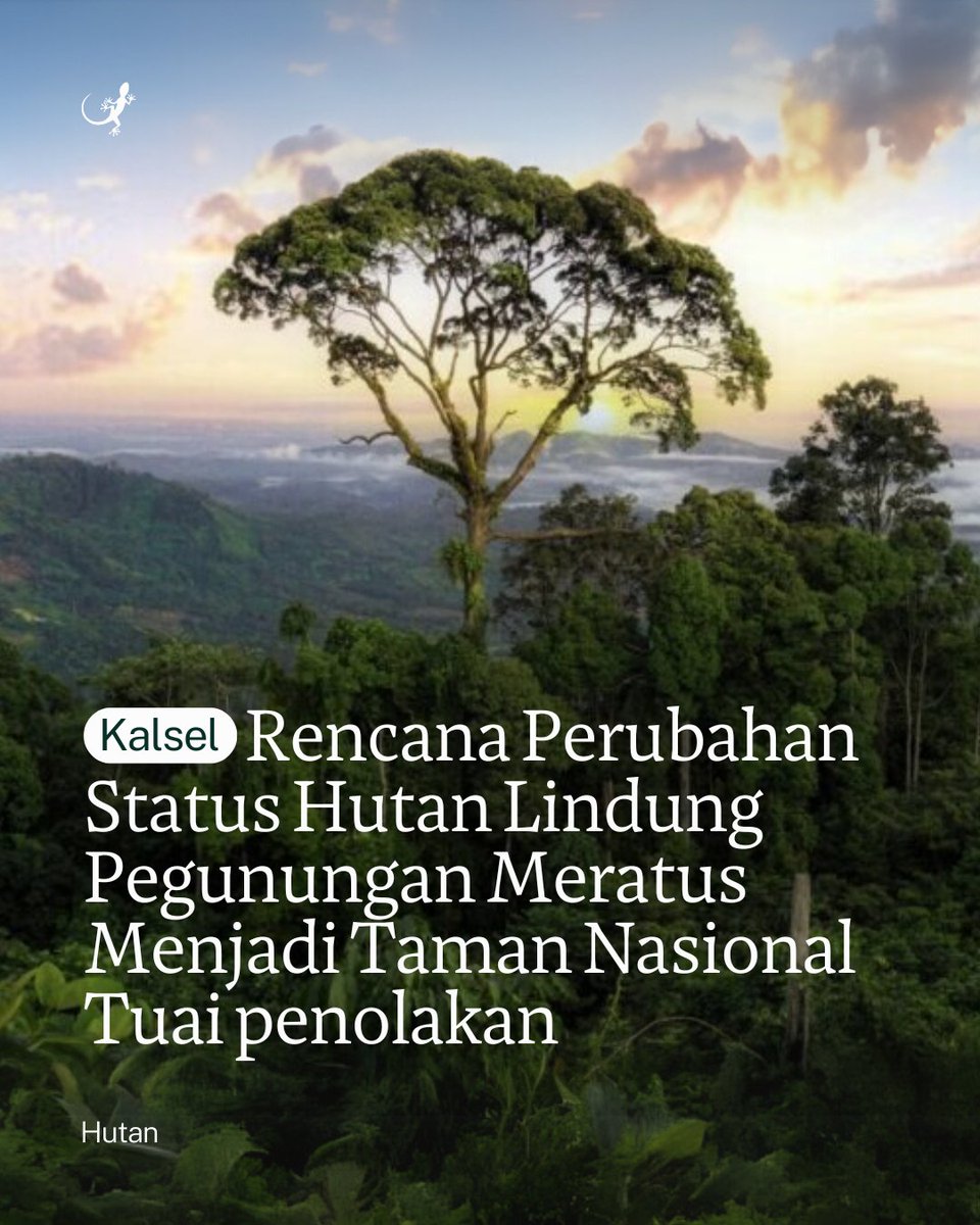 MongabayID's tweet photo. Rencana pemerintah mengubah status hutan lindung Pegunungan Meratus seluas 119.000 hektar di Kalimantan Selatan menjadi taman nasional memicu penolakan, terutama dari masyarakat adat Dayak Meratus dan Dayak Pitap. 

Selengkapnya: 
https://t.co/pFtueYctFb https://t.co/030xYQFJnu