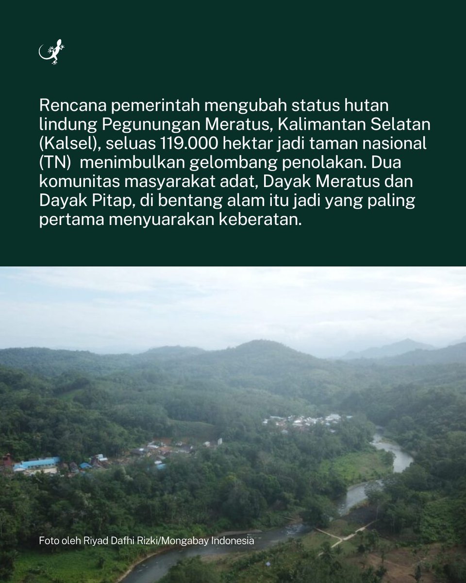 MongabayID's tweet photo. Rencana pemerintah mengubah status hutan lindung Pegunungan Meratus seluas 119.000 hektar di Kalimantan Selatan menjadi taman nasional memicu penolakan, terutama dari masyarakat adat Dayak Meratus dan Dayak Pitap. 

Selengkapnya: 
https://t.co/pFtueYctFb https://t.co/030xYQFJnu