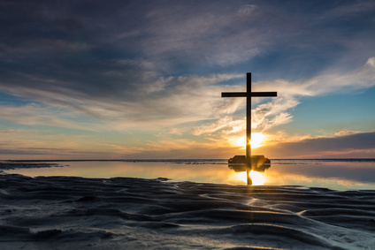Pathways to Organization - God Reverses the Curse - mailchi.mp/367b90d04b3e/j…