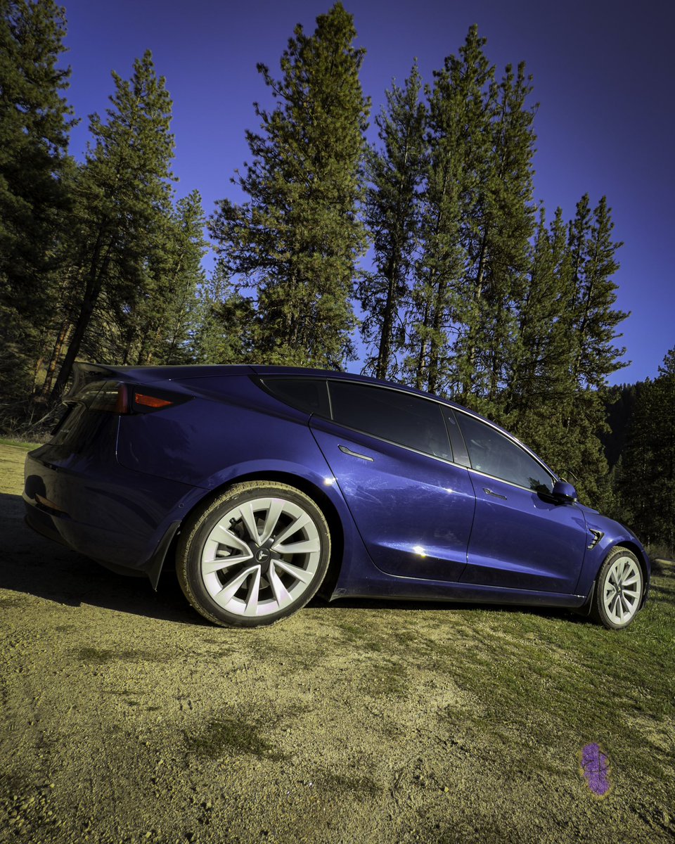 BoundlessDigi's tweet image. My #Tesla Model 3 has gotten me out to the mountains more than any other car I’ve owned has, and she is very much in her element on those winding roads! And it makes the tard-nuggets lose their minds 😂