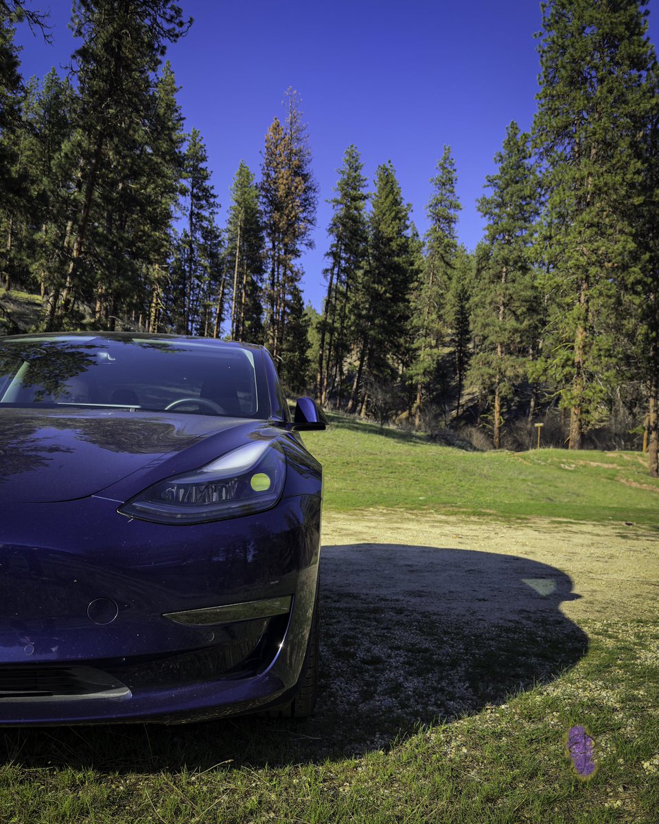 BoundlessDigi's tweet image. My #Tesla Model 3 has gotten me out to the mountains more than any other car I’ve owned has, and she is very much in her element on those winding roads! And it makes the tard-nuggets lose their minds 😂