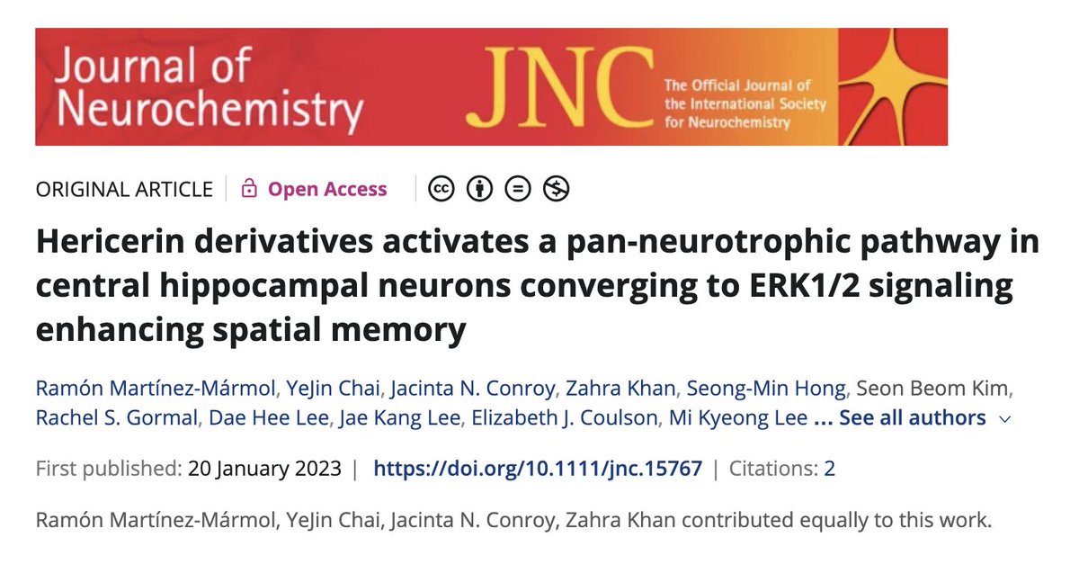 Queensland Brain Institute, UQ (@qldbraininst) on Twitter photo Congratulations to <a href="/marmol_dr/">Ramón Martínez-Mármol</a> and the <a href="/MeunierLab/">Fred Meunier</a> from QBI whose paper on the neurotrophic effect of Lion's mane mushroom derivatives became one of the most viewed publications in the <a href="/JNeurochem/">Journal of Neurochemistry</a>.
The paper is also #1 in Altmetric media attention in that journal. 🙌 What an Congratulations to <a href="/marmol_dr/">Ramón Martínez-Mármol</a> and the <a href="/MeunierLab/">Fred Meunier</a> from QBI whose paper on the neurotrophic effect of Lion's mane mushroom derivatives became one of the most viewed publications in the <a href="/JNeurochem/">Journal of Neurochemistry</a>.
The paper is also #1 in Altmetric media attention in that journal. 🙌 What an
